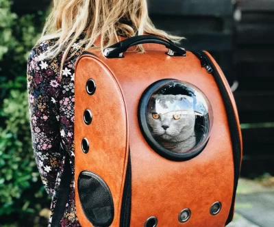 raoul-droog-Ea8rP2Ebp_4-unsplash_optimized